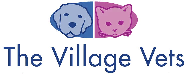 The Village Vet Home