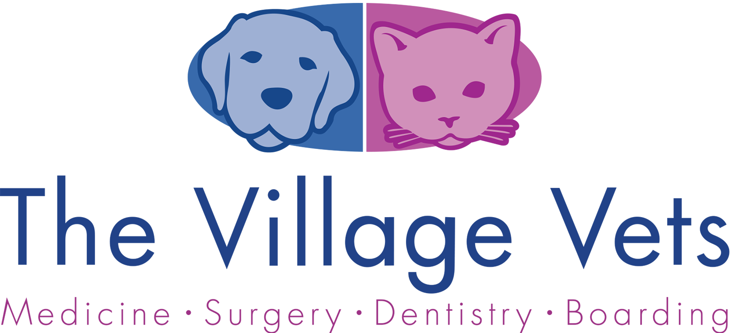 The Village Vet Home